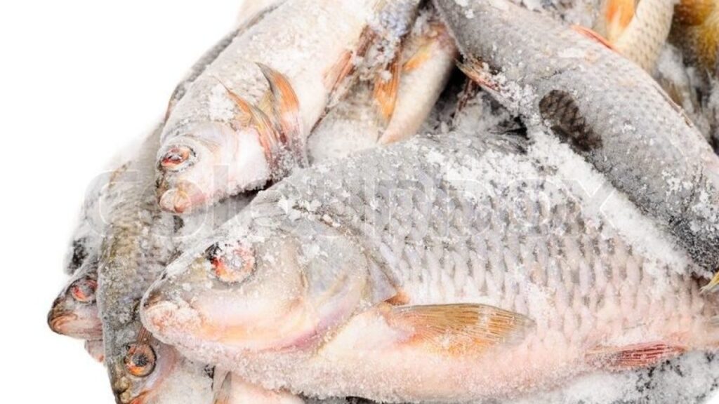 bisnis frozen food