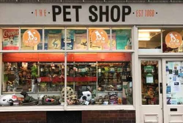 bisnis pet shop