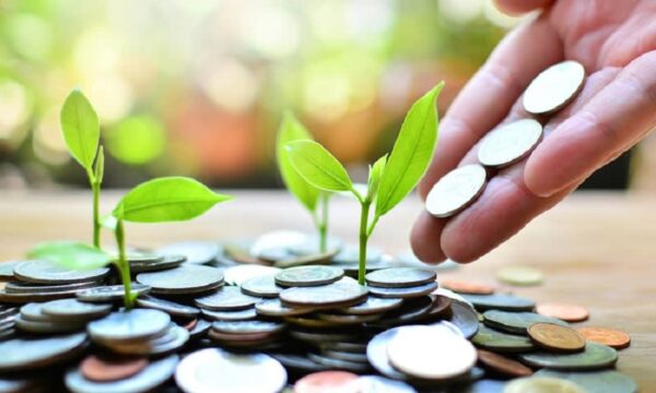 peluang usaha yang belum banyak pesaing