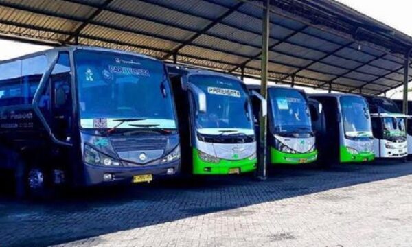 syarat mendirikan PO bus
