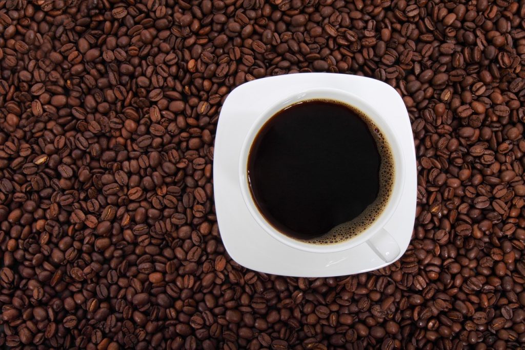 perbedaan kopi arabika dan robusta